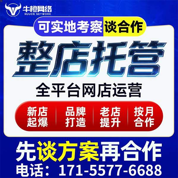 南充电商代运营
