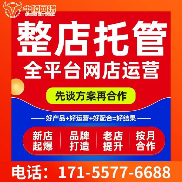 南充电商代运营